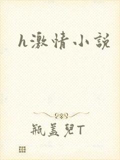 h激情小说
