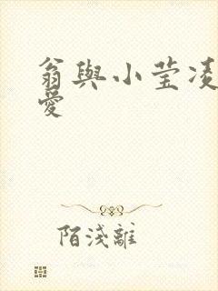 翁与小莹凌晨欢爱