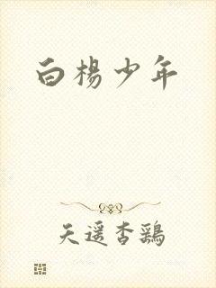 白杨少年