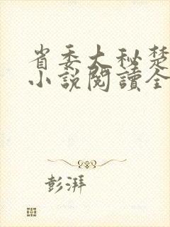 省委大秘楚东恒小说阅读全文