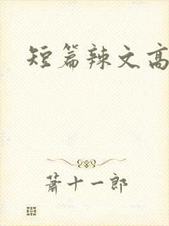 短篇辣文高h