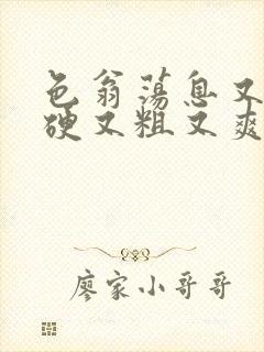 色翁荡息又大又硬又粗又爽小莹