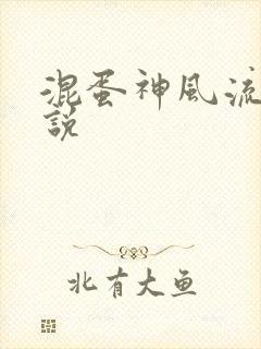 混蛋神风流史小说