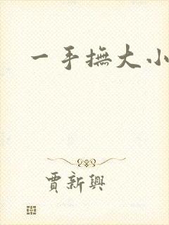 一手抚大小说