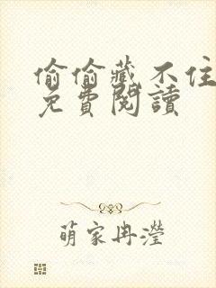 偷偷藏不住小说免费阅读