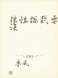 狼性总裁要够了没