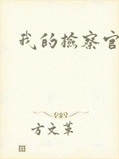 我的检察官先生