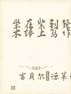 坐在紫到发黑的木棒上写作业