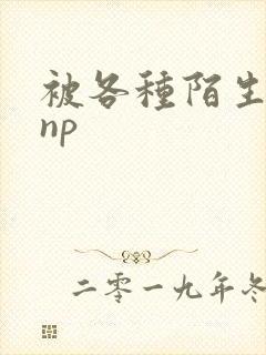 被各种陌生人 np