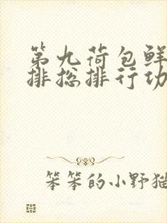 第九荷包鲜辣肉排总排行功能介绍