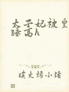 太子妃被皇上强睡高h