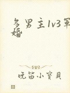 多男主1v3军婚