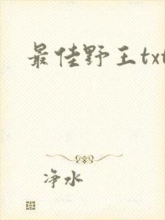 最佳野王txt