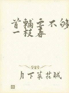 首辅要不够po一枝春