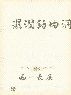 湿润的肉洞
