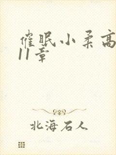 催眠小柔高达第11章