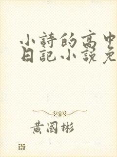 小诗的高中成长日记小说免费阅读