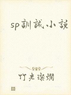 sp训诫小说