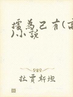 据为己有(高干)小说