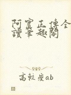 阿宾正传全文阅读笔趣阁