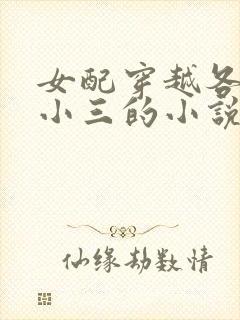 女配穿越各个做小三的小说