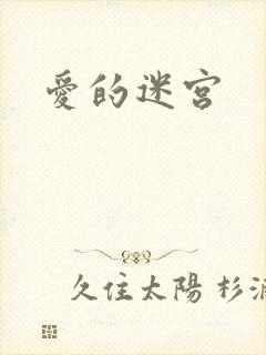爱的迷宫