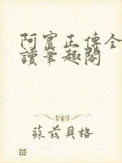 阿宾正传全文阅读笔趣阁