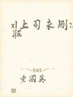 xl上司未删减版