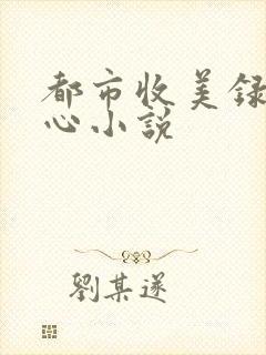 都市收美录宁素心小说