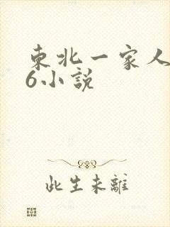 东北一家人1一6小说