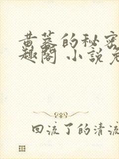 黄蓉的秘密 笔趣阁 小说免费阅读下载