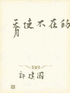 天使不在的12月