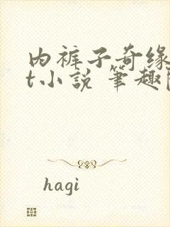 内裤子奇缘txt小说 笔趣阁