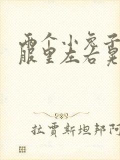 两个小兔子在衣服里左右晃