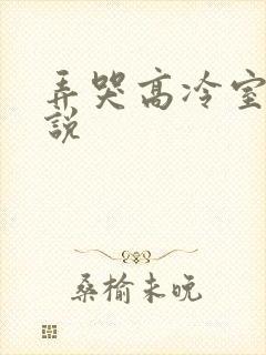 弄哭高冷室友小说