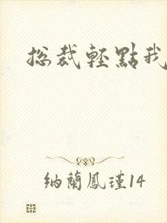 总裁轻点我怕疼