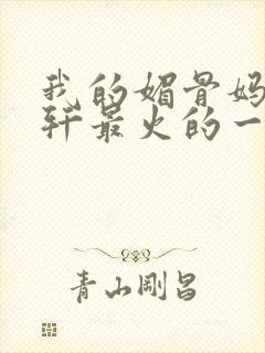 我的媚骨妈妈林轩最火的一句