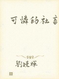 可怜的社畜小说