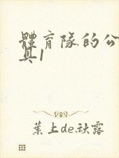 体育队的公用玩具1