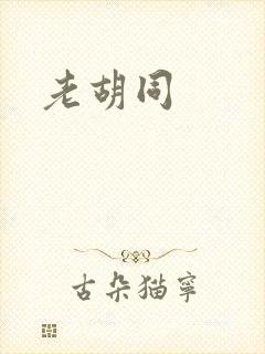 老胡同封面