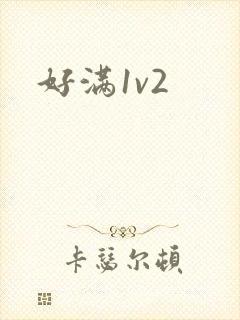 好满1v2