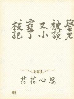 校霸又被学神标记了小说免费阅读