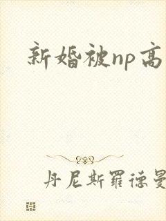 新婚被np高h