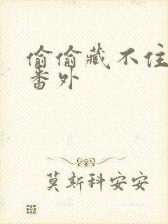 偷偷藏不住新婚番外