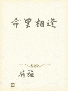 命里相逢