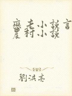 恋老小说言情网农村小说