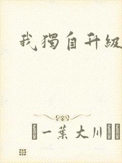 我独自升级小说