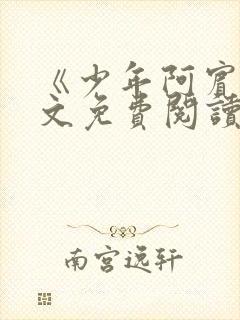 《少年阿宾》全文免费阅读