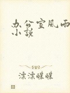 办公室风雨完整小说