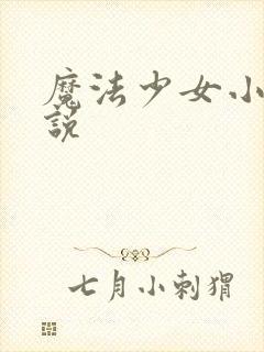魔法少女小圆小说